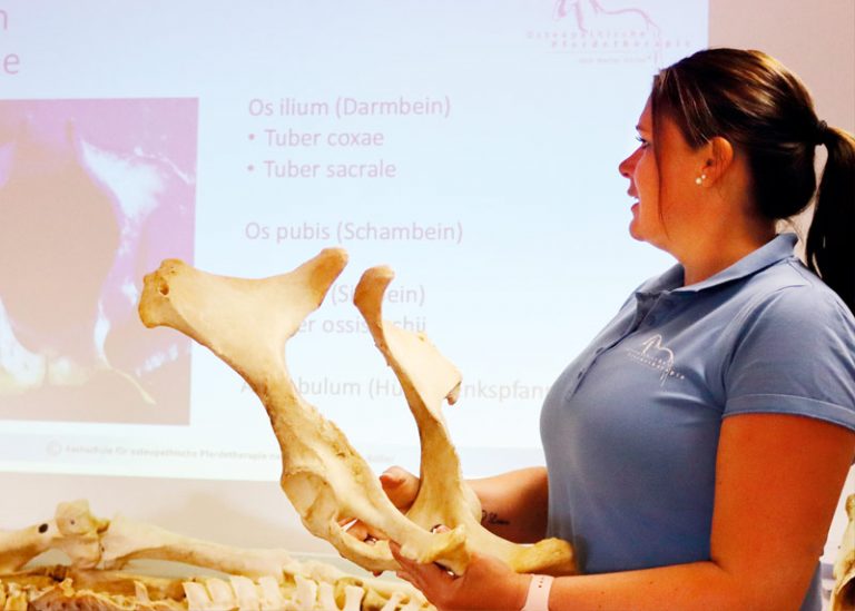 Unsere Dozentin Anna-Lena Gellersen im Anatomieunterricht